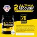 2ALPHA Recovery Vanilla - Protein Shake with Hydrolyzed Whey Isolate and Essential Nutrients for Shooters 25g Protein for Muscle Recovery - 566g - Buy Online on GoSupps.com