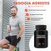 Fadogia Agrestis 1000mg - USA Third Party Tested - Powerful Extract for Athletic Performance & Muscle Mass - Non GMO Vegan Supplement - Easy To Swallow Veggie Capsules - Buy Online on GoSupps.com