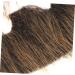 Mikinona 1 Set Beard Dress up Beard Fake Beards for Costumes Self Adhesive Beard DIY Fake Mustache Plush - Buy Online on GoSupps.com