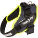 Buy IDC Powerharness M/0 Neon Edge Jeans - Stylish International Shipping Available - Buy Online on GoSupps.com