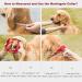 Adjustable Martingale Dog Collar - Durable No Escape Nylon for All Sizes (M - Red) | Perfect for Large Medium & Small Dogs - Buy Online on GoSupps.com