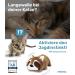 Pettec Interactive Cat Toys Electric Movable Raccoon with Catnip | Automatic Self-Play for Cats | Best Interactive Cat Toy - Buy Online on GoSupps.com