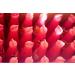 Twist and Drink 5 Flavors: Raspberry Apple Cherry Strawberry Wildberry Mountain Spring Water Vegan No Colorants or Sweeteners 24 Bottles or 48 Bottles (24 Bottles Strawberry) Strawberry 8.33 ml (Pack of 24) - Buy Online on GoSupps.com