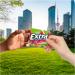 Extra Sugar Free Gum Sweet Watermelon 15 Stick Slim Pack (Pack of 10) by Extra Foods  - Buy Online on GoSupps.com