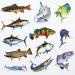 50Pcs Funny Fishing Rod Decals for Trucks, Windows, Boats - Grouper, Bass, Trout, Sailfish Stickers - Buy Online on GoSupps.com
