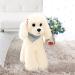 Heionia Kawaii Dog Plush Toy - Cuddly 20cm White Teddy for Kids | Perfect Gift for Girls - Buy Online on GoSupps.com