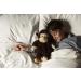 Warmies Heatable Plush Toy Black Chimp - CP-CHI-1 - Buy Online on GoSupps.com