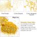 Hemoer Holographic Chunky Glitter 100g - Gold Craft Glitter for Resin Face Nail Body Slime & Festival Art - Buy Online on GoSupps.com