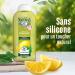 Le Petit Marseillais Shampooing Purifiant Ortie & Citron Bio (300 ml) Shampoing sans silicone pour cheveux regraissant vite 98% d'origine naturelle et pH quilibr 300 ml (Lot de 1) - Buy Online on GoSupps.com
