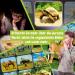 Science4you Dino Flashlight for Kids 4+ | Educational Dinosaur Projector Lamp with 24 Images & Poster | Perfect Dino Gift for Paleontology Enthusiasts - Buy Online on GoSupps.com
