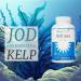 Buy NEW! Iodine from Kelp - 400 Vegan Tablets 250 g Iodine from Wild Scottish Brown Algae Made in Germany No Additives - Buy Online on GoSupps.com