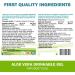 Pure Aloe Vera Gel 500ml - Orange-Tangerine Flavor - for Heartburn Relief & Acide Reflux - Made in Canada (Pack of 2) 500 ml (Pack of 2) - Buy Online on GoSupps.com