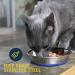 Our Pets DuraPet Stainless Steel Non-Slip Cat Food Bowls - 1-1.75 Cups Capacity - Easy to Clean Cat Dish - Buy Online on GoSupps.com