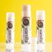Woolzies 100% Natural Lip Balm Set of 3 (Vanilla Mint) - Beeswax and Shea Butter Formula - Buy Online on GoSupps.com