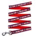 Pets first MLB chicago cubs pet leash