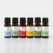 Shop Plant Therapy Wellness Essential Oil Gift Set - 6 Popular Blends for Immunity & Relaxation | International Shipping Available - Buy Online on GoSupps.com
