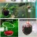Buy PIZSIEAT 8-Piece Aquarium Plants Set | Suction Cup Decorative Glass Pots for Mini Fish Tanks & Aquatic Landscapes - Buy Online on GoSupps.com