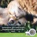 Nutrani Zinc Ointment for Dogs Cats & Horses - 200ml Nursing Wound Care for Eczema & Skin Irritation - Buy Online on GoSupps.com