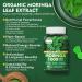 Moringa Gummies 1000mg + Spirulina, Saffron, Ashwagandha & Natural Astaxanthin 4 mg | Energy, Mood, Immune & Gut Health Green Superfood | Organic Moringa Supplement for Women Men, Sugar Free, 120Cts 60 Count (Pack of 2) - Buy Online on GoSupps.com