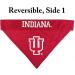 Indiana Hoosiers Reversible Bandana for Pets - Small/Medium | Pets First Collegiate Pet Accessories - Buy Online on GoSupps.com