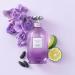 Coach Dreams Moonlight 3.3 Fl Oz - Buy Online on GoSupps.com