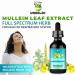 Undelio's Herbal Mullein Leaf Extract - Organic Alcohol-Free Tincture for Respiratory Lung Sleep Digestive Support - Non-GMO Vegan 2 fl. Oz Immune Health Lung Detox - Buy Online on GoSupps.com