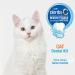 Nylabone Advanced Oral Care Cat Dental Kit Original (3 Count) Cat Adult Cat - Buy Online on GoSupps.com