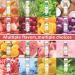 32 Pack Natural Lip Balm - Hydrating & Nourishing with Vitamin E & Coconut Oil | 16 Flavor Bulk Set for Stocking Stuffers - Shop Now - Buy Online on GoSupps.com