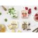 True Gum Variety Pack - Plastic-Free Biodegradable Vegan Chewing Gum (21g x 4) - Ingor & Turmeric Mint Liquorice & Eucalyptus Raspberry & Vanilla - Buy Online on GoSupps.com