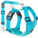 Slowton dog harness with seat belt for car breathable dish Dog seat belt with 2 carabiner hooks for attachment to the seat belt buckle or trunk (light blue m) m B-hell blue