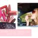 Miss Rose Matte Lipstick Set - 12 Long Lasting Waterproof Highly Pigmented Shades for Women | Perfect for All Occasions & Makeup Lovers - Buy Online on GoSupps.com