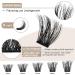Shop DIY Eyelash Extension Set | B&Q Lash Extensions Kit for Beginners | Individual Eyelash Adhensive & Remover Included - Buy Online on GoSupps.com