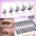 Buy Wispy Lash Clusters - 200pcs Self Adhesive Eyelash Strips for DIY C Curl Extensions | TOOCHUNAG 21F-Cat Eye - Buy Online on GoSupps.com