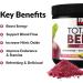 Total Beets Energy Drink Mix Superfood Beet Root Powder with Nitrates to Boost Energy and Support Circulation Blood Flow Nitric Oxide and Stamina Heart Health Supplement Force Factor 30 Servings Energy Powder 30.0 Se - Buy Online on GoSupps.com
