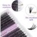 Individual Eyelashes Clusters 240PCS | D Curl 0.07mm 40D/50D Mixed | 16-20mm Lash Extensions - DIY Wide Stem Clusters - RR-16-20mm - Buy Online on GoSupps.com