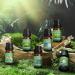 Spring Essential Oils Set for Aromatherapy and Candle Making - Gardenia, Jasmine, Peppermint, Fresh Cut Grass, Spring Rain Breeze Scent Oil - Buy Online on GoSupps.com