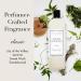 Laundress Whites Detergent 32 oz - Concentrated Laundry Liquid Whiten & Brighten Clothes Tough on Stains Classic Scent | International Shipping - Buy Online on GoSupps.com