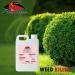 Shankh All Purpose Distilled White Spirit Vinegar 5L for Cleaning Pickling Marinating & Cooking (Pack of 2) - Produced in The UK - Buy Online on GoSupps.com