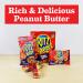 RITZ Bits Peanut Butter Sandwich Crackers 8.8 oz - Delicious Snack for Anytime! - Buy Online on GoSupps.com