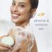 Dove Cucumber and Green Tea Beauty Bar 3.75 oz - 14 Bars | More Moisturizing Than Bar Soap | Soften Your Skin - Buy Online on GoSupps.com