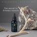 Redmint 5 Elements Ageless Facial Oil | Anti-Aging Moisturizer for Firm & Glowing Skin | TCM-Inspired Radiance | 30ml - Buy Online on GoSupps.com