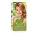 Naturtint 8C Copper Blonde Hair Colour - Ammonia-Free Vegan Formula - Buy Online on GoSupps.com