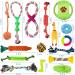 Amzeeniu 16 Pcs Dog Toys Set - Durable Rope Balls & Chew Toys for Small/Medium Dogs | Interactive Training & Teeth Cleaning - Buy Online on GoSupps.com