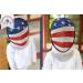 USA Flag Design Foil Fencing Mask with CE350N Certification | Anti-Glare Finish & Padded Bib | X-Small Size with Adjustable Strap - Buy Online on GoSupps.com