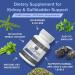 PurMEDICA Vesipur Kidney & Gallbladder Support Supplement - 8-in-1 Natural Formula - 60 Vegetarian Capsules - Buy Online on GoSupps.com