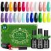 Gel Nail Polish Kit - ITHKY 27 Pcs Soak Off Nail Polish Set Pink Blue Green Yellow Nail Polish UV Led Gel Polish, Silver Glitter Gel Nail Polish with Base Coat and Glossy & Matte Top Coat Gift Multi-colored