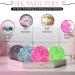EXESSCO Shower Puff Loofah 4Pcs Mesh Body Puff 75g/PCS Large and Extra Soft Exfoliating Bath & Shower Sponge Scrunchie Loofah for Men & Women Multicolor (Pack of 4) - Buy Online on GoSupps.com