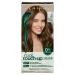 Clairol Root Touch-Up by Natural Instincts Permanent Hair Dye  6 Light Brown Hair Color  Pack of 1 6 Light Brown 2.72 Ounce (Pack of 1)
