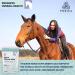 PURICA Equine Vegan MSM Powder - Pure & Organic Horse Supplement for Joint Support 1kg 1 kg (Pack of 1) - Buy Online on GoSupps.com