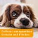 Buy Awiwa Odor Neutralizer & Cat Urine Stain Remover (1L) - Effective Pet Odor Control for Dogs & Cats | International Shipping Available - Buy Online on GoSupps.com